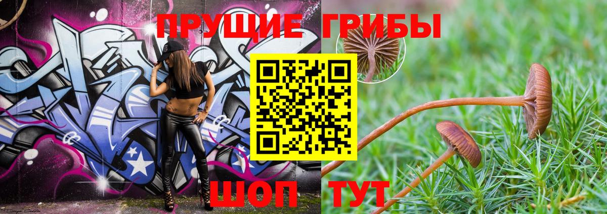 Галлюциногенные грибы мухоморы  Вход с VPN  Котлас 